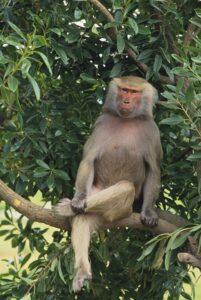 画像はイメージ