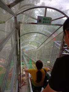 梁皇山の滑り台