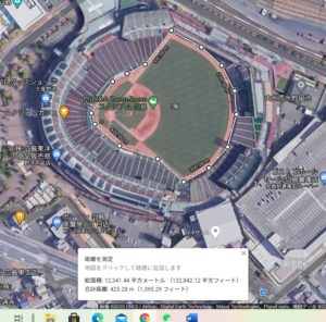 広島スタジアムのグラウンド全体