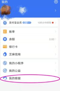 支付宝我的画面