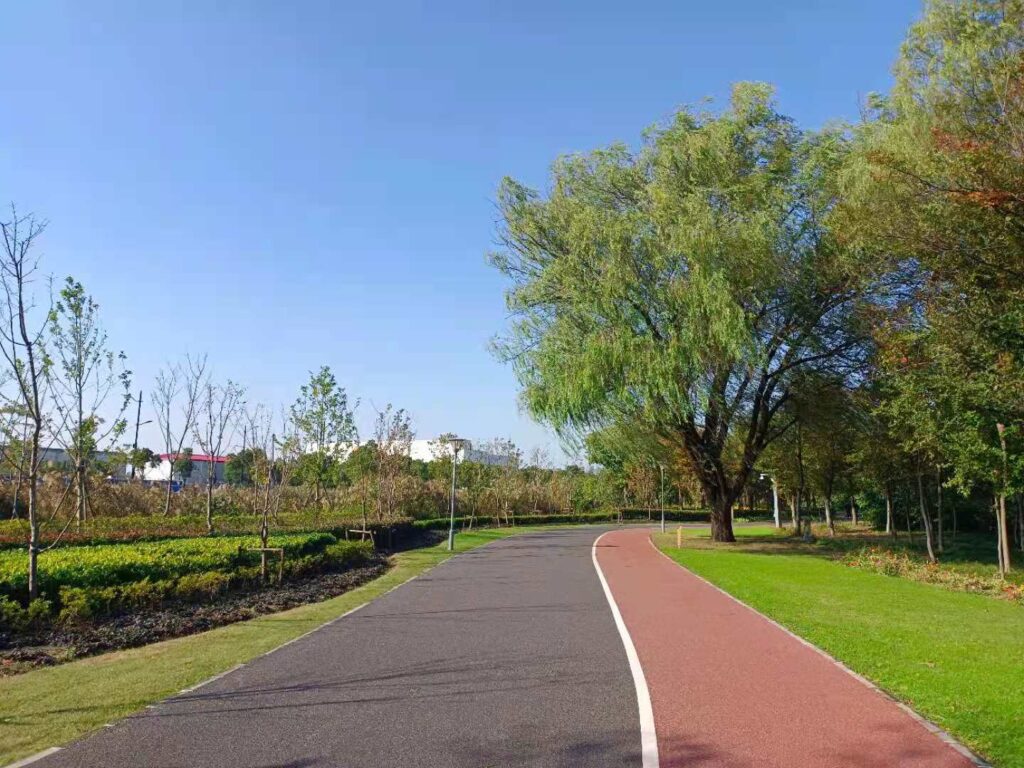 ツートン舗装の長寧緑道