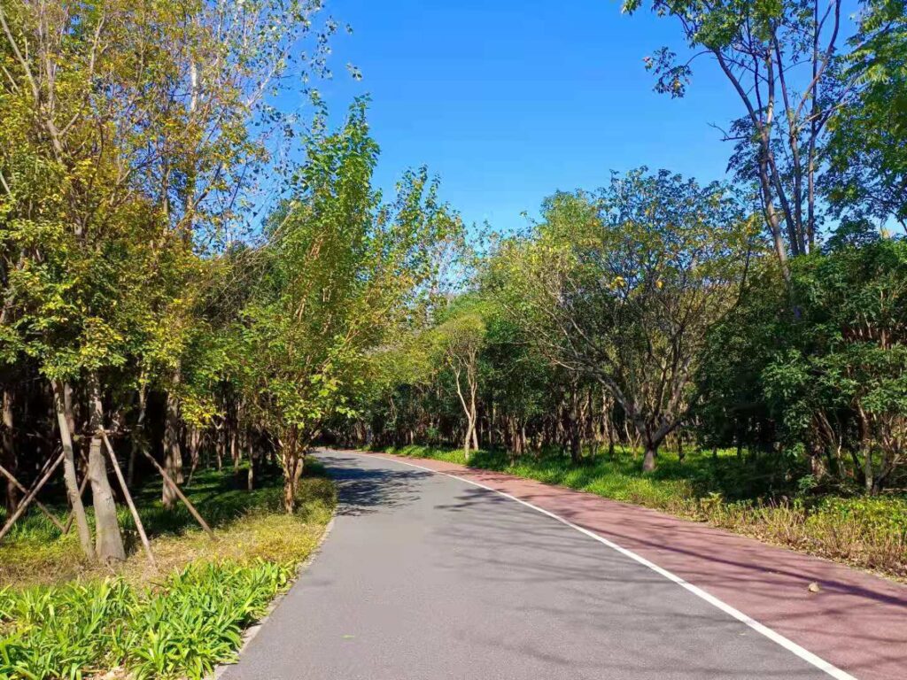 緑の中の長寧緑道