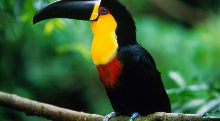 画像はイメージ